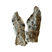 Lammohren