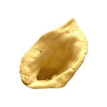 Wildschweinohren