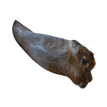 Pferdeohren