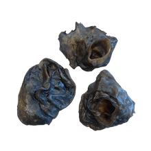 Rinder Ohrmuscheln
